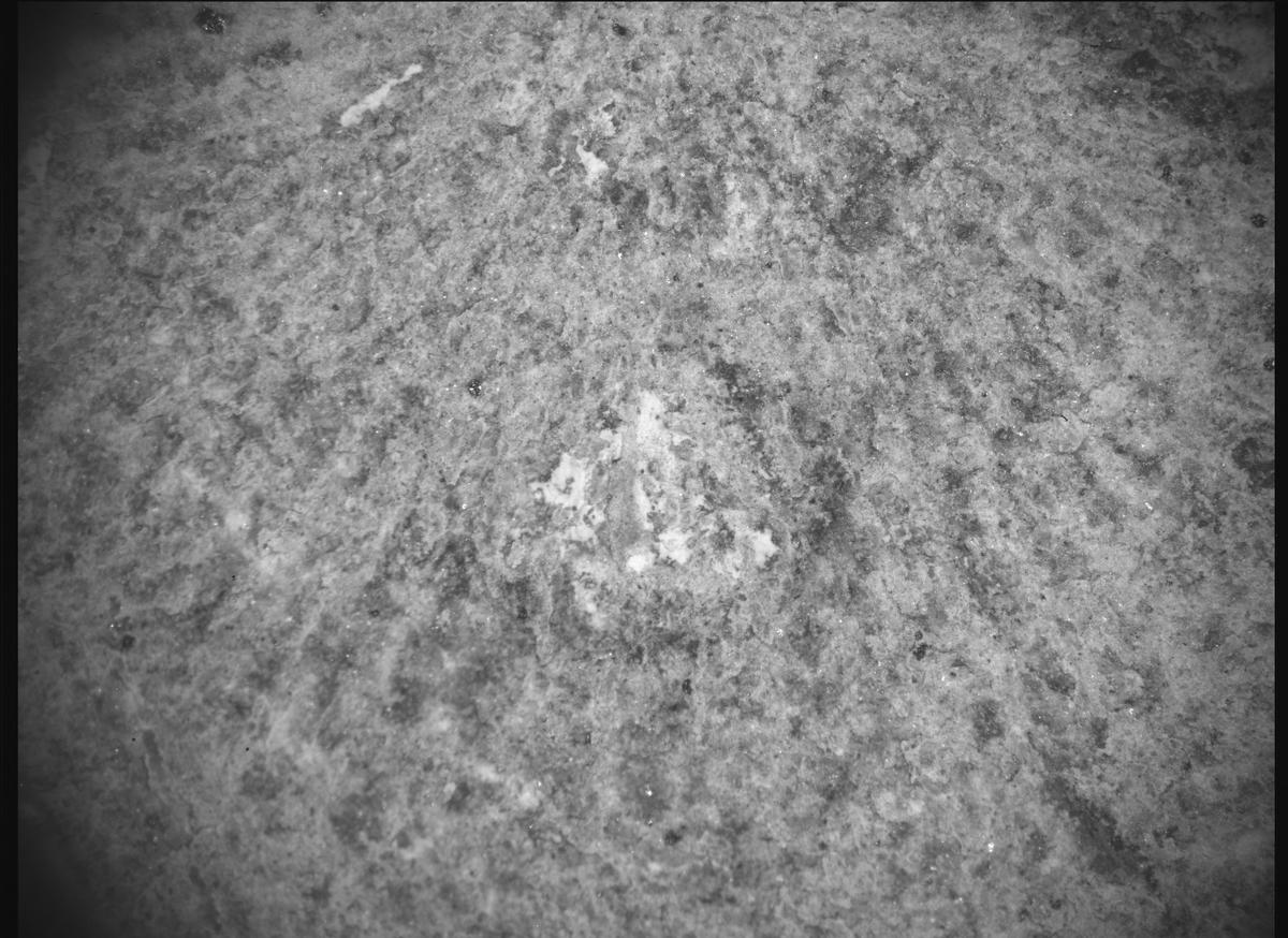 This image was taken by SHERLOC_ACI onboard NASA's Mars rover Perseverance on Sol 865