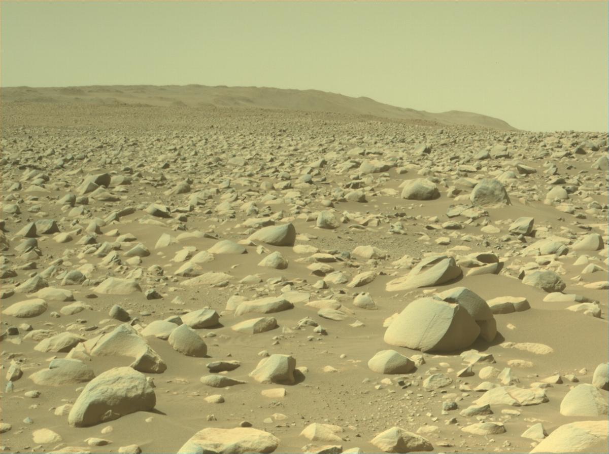 This image was taken by NAVCAM_LEFT onboard NASA's Mars rover Perseverance on Sol 868