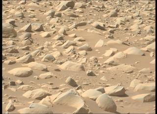 View image taken on Mars, Mars Perseverance Sol 868: Left Mastcam-Z Camera