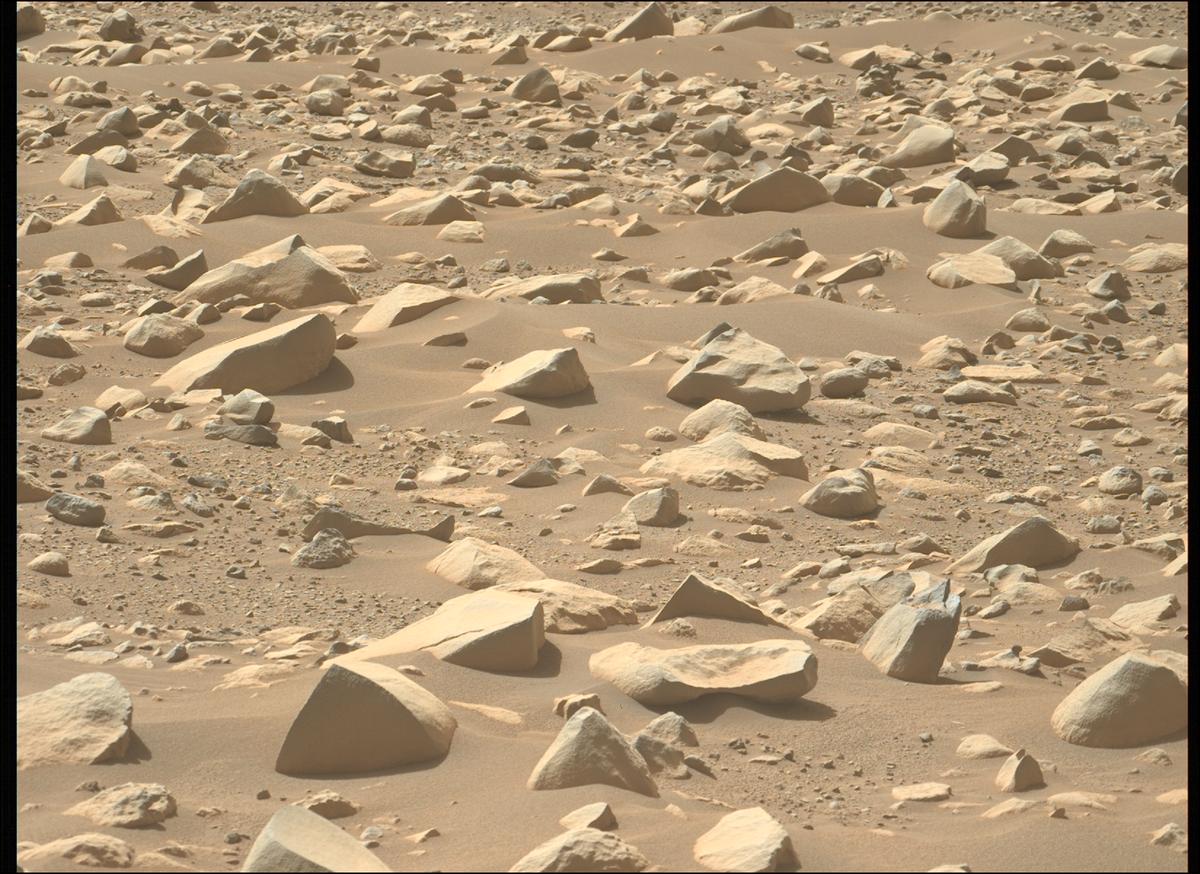 This image was taken by MCZ_LEFT onboard NASA's Mars rover Perseverance on Sol 868