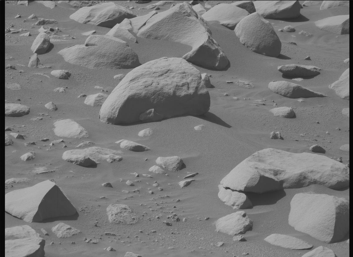 This image was taken by MCZ_LEFT onboard NASA's Mars rover Perseverance on Sol 868