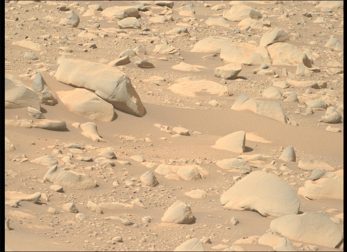 This image was taken by MCZ_RIGHT onboard NASA's Mars rover Perseverance on Sol 868