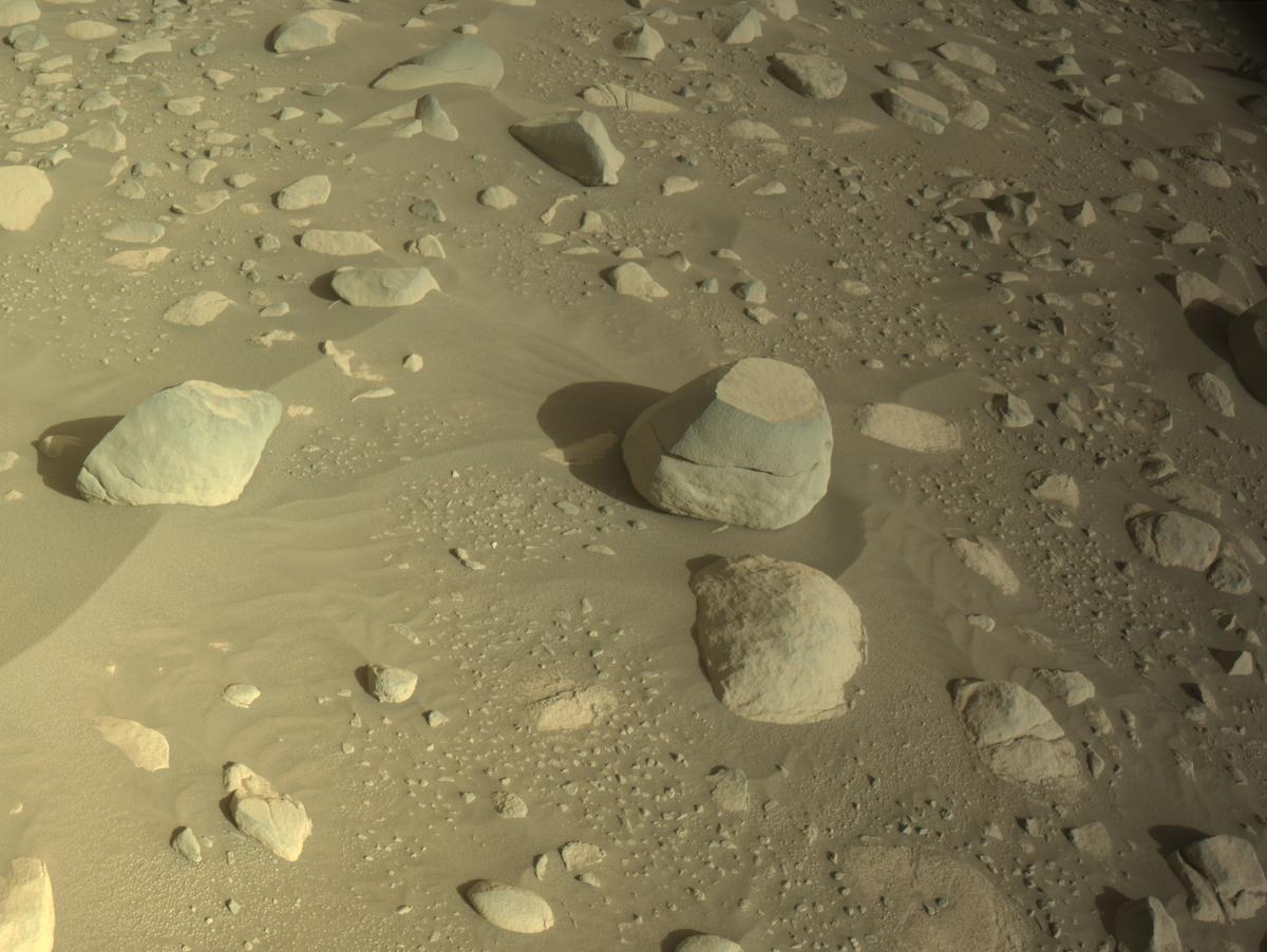 This image was taken by NAVCAM_LEFT onboard NASA's Mars rover Perseverance on Sol 870