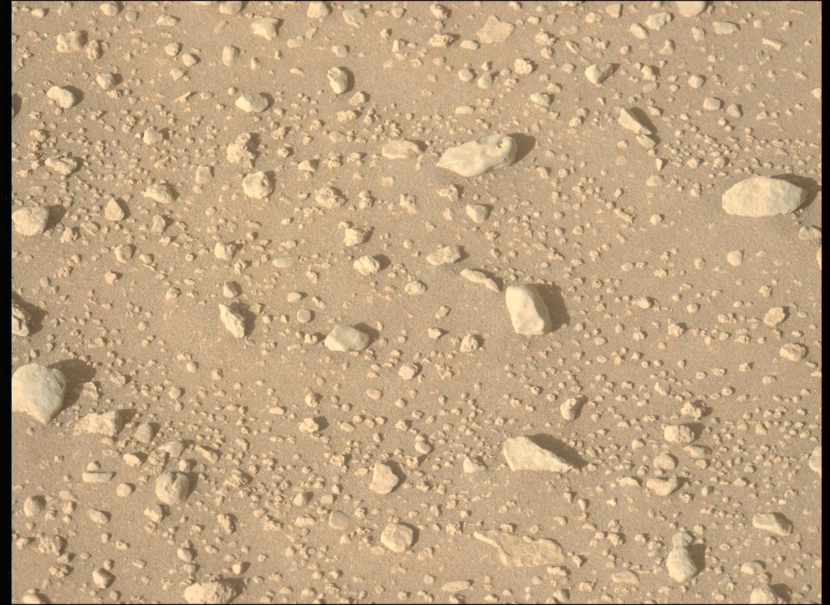 This image was taken by MCZ_LEFT onboard NASA's Mars rover Perseverance on Sol 870