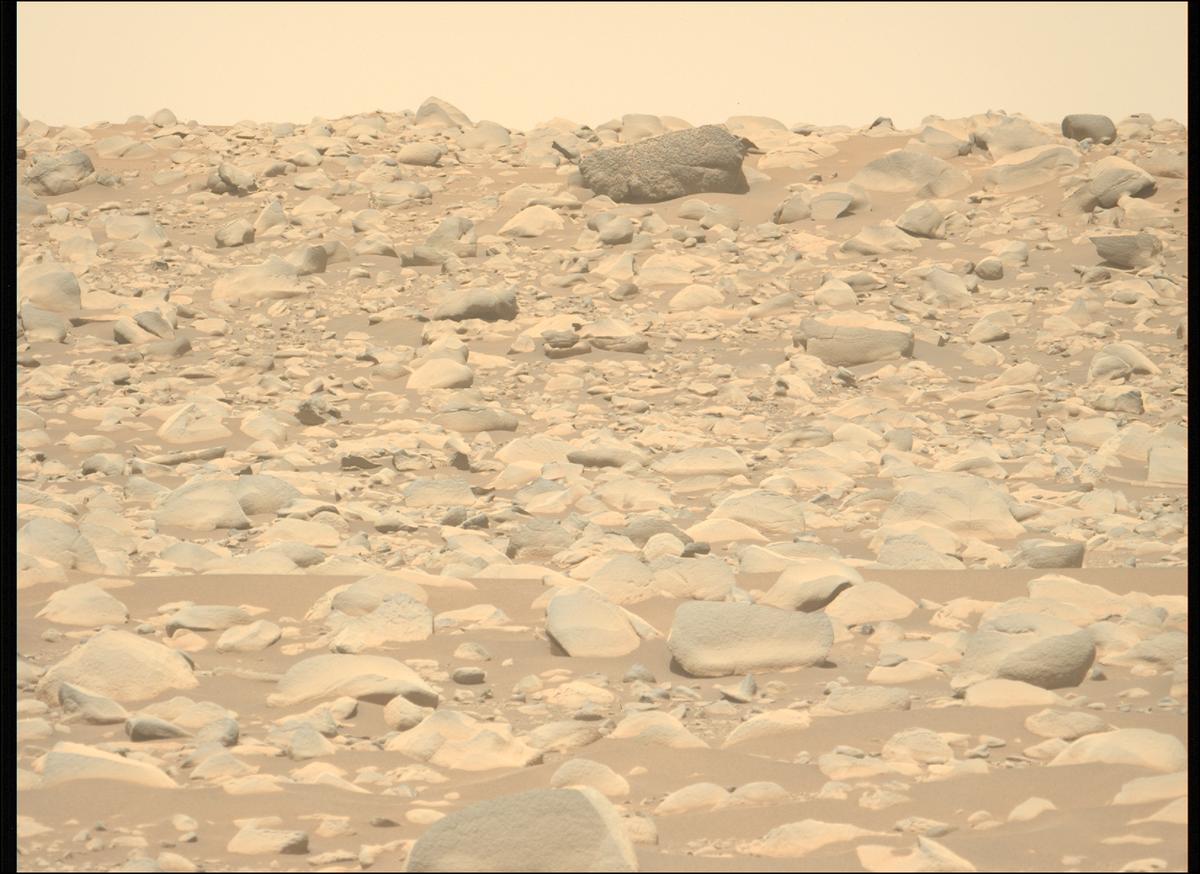 This image was taken by MCZ_LEFT onboard NASA's Mars rover Perseverance on Sol 871