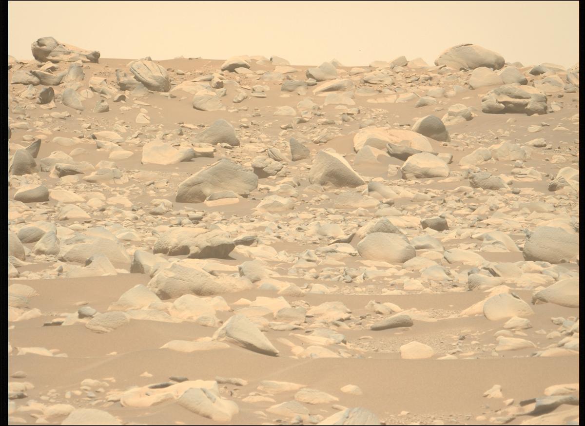 This image was taken by MCZ_LEFT onboard NASA's Mars rover Perseverance on Sol 871