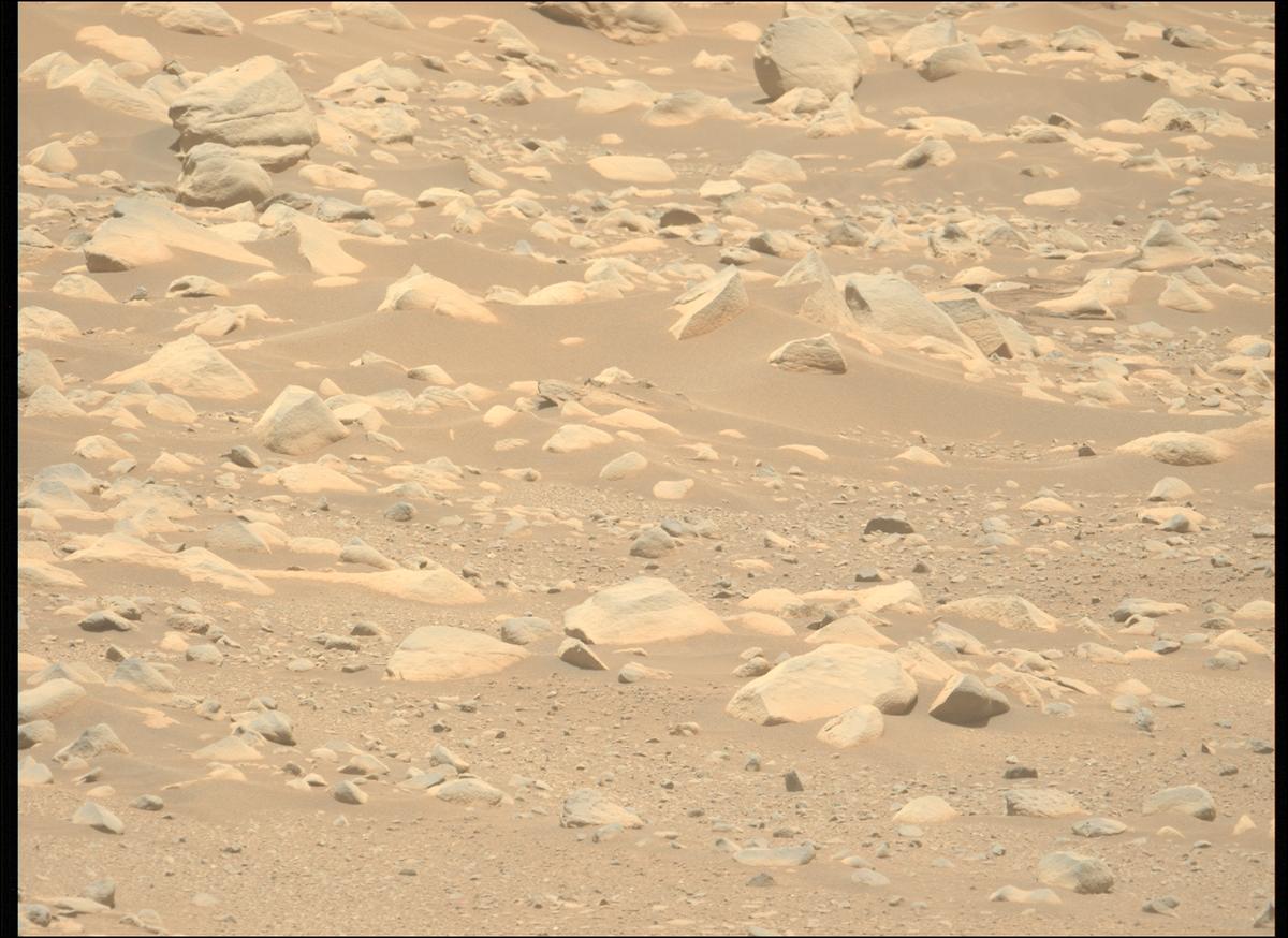 This image was taken by MCZ_LEFT onboard NASA's Mars rover Perseverance on Sol 871