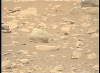 View image taken on Mars, Mars Perseverance Sol 871: Left Mastcam-Z Camera