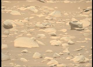 View image taken on Mars, Mars Perseverance Sol 871: Left Mastcam-Z Camera