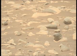 View image taken on Mars, Mars Perseverance Sol 871: Left Mastcam-Z Camera