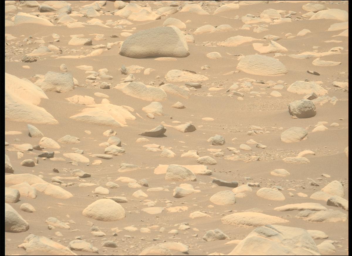 This image was taken by MCZ_LEFT onboard NASA's Mars rover Perseverance on Sol 871