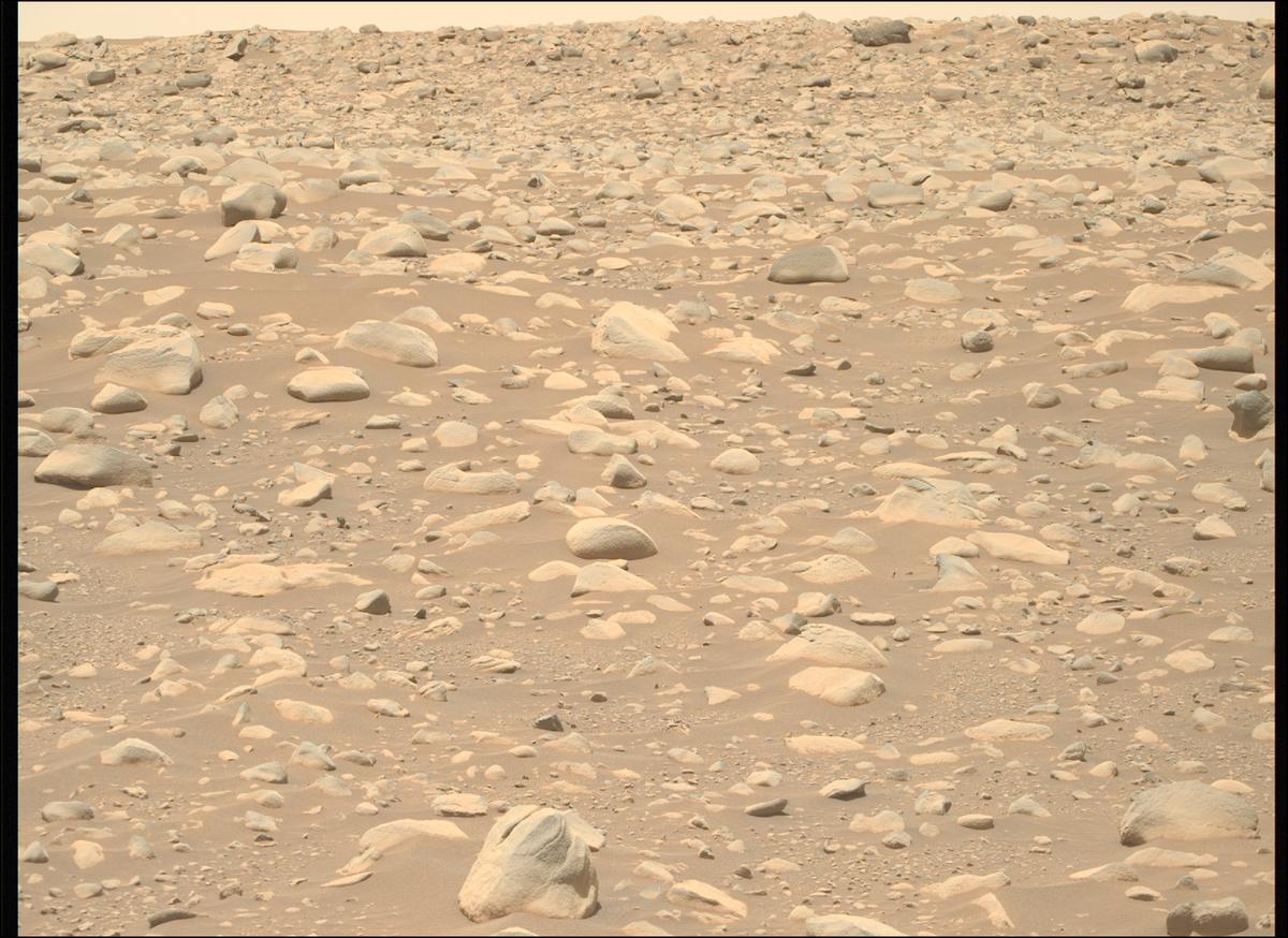 This image was taken by MCZ_RIGHT onboard NASA's Mars rover Perseverance on Sol 871