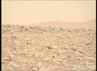 View image taken on Mars, Mars Perseverance Sol 871: Right Mastcam-Z Camera