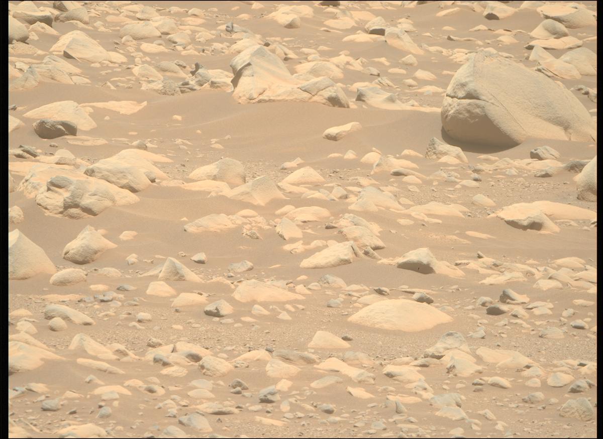This image was taken by MCZ_RIGHT onboard NASA's Mars rover Perseverance on Sol 871