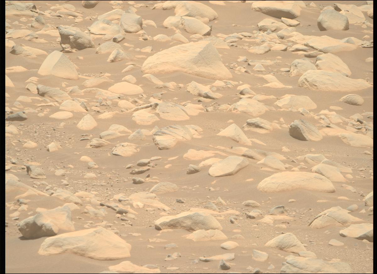 This image was taken by MCZ_RIGHT onboard NASA's Mars rover Perseverance on Sol 871