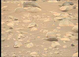 View image taken on Mars, Mars Perseverance Sol 871: Right Mastcam-Z Camera