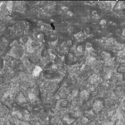 View image taken on Mars, Mars Perseverance Sol 874: WATSON Camera 
