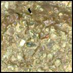This image was taken by SHERLOC_WATSON onboard NASA's Mars rover Perseverance on Sol 874