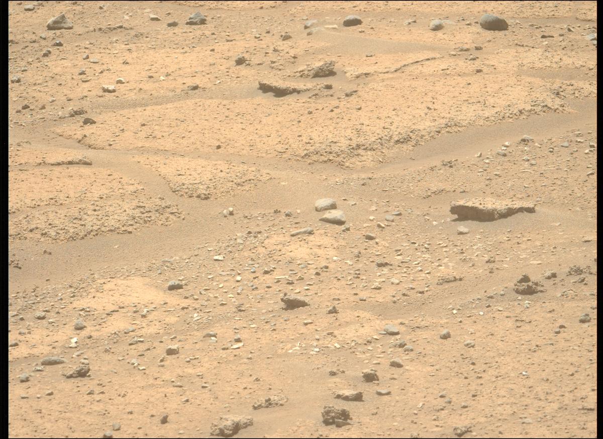 This image was taken by MCZ_LEFT onboard NASA's Mars rover Perseverance on Sol 874
