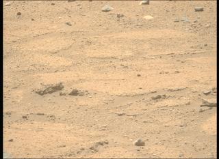 View image taken on Mars, Mars Perseverance Sol 874: Left Mastcam-Z Camera