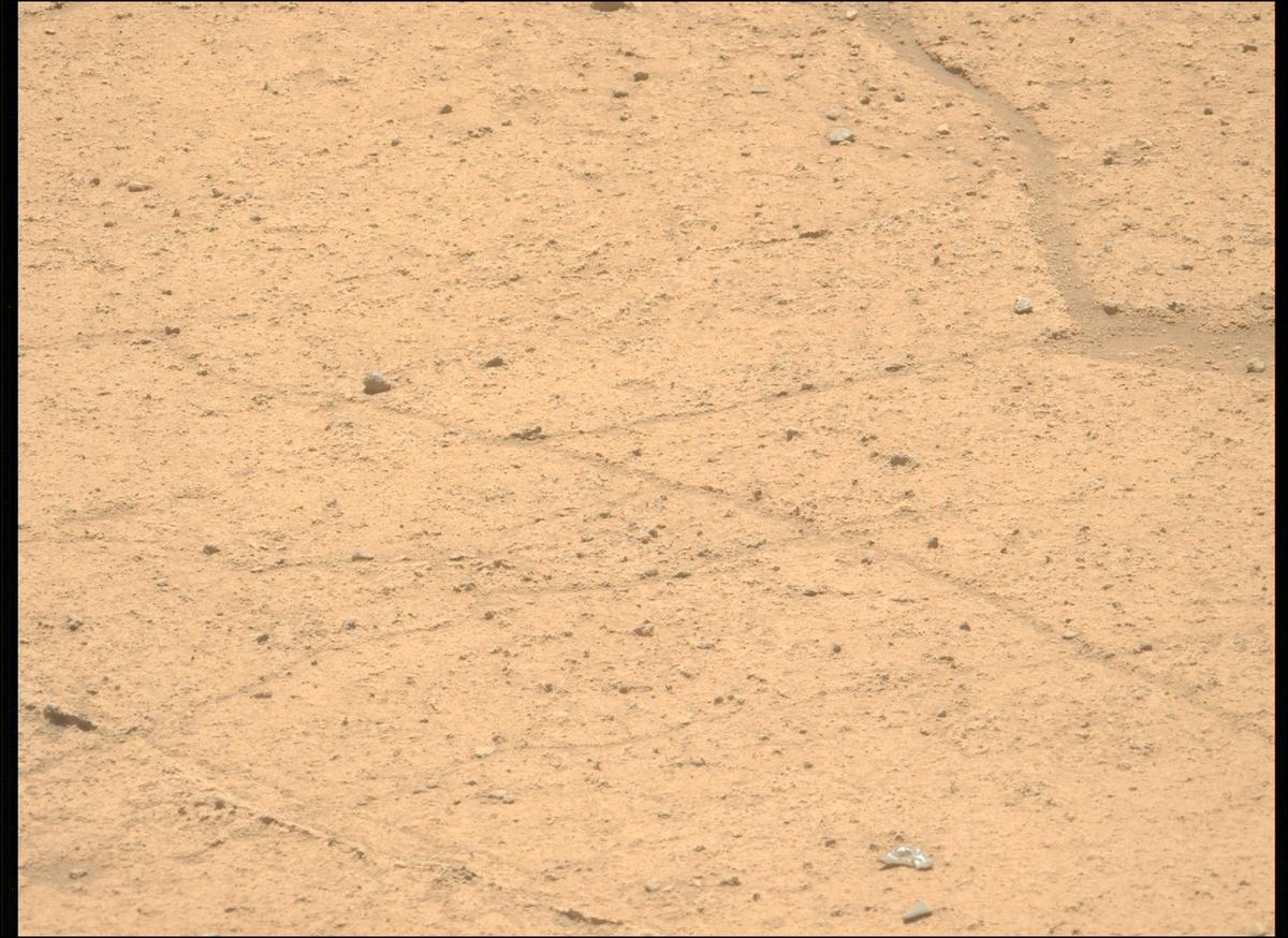 This image was taken by MCZ_LEFT onboard NASA's Mars rover Perseverance on Sol 874