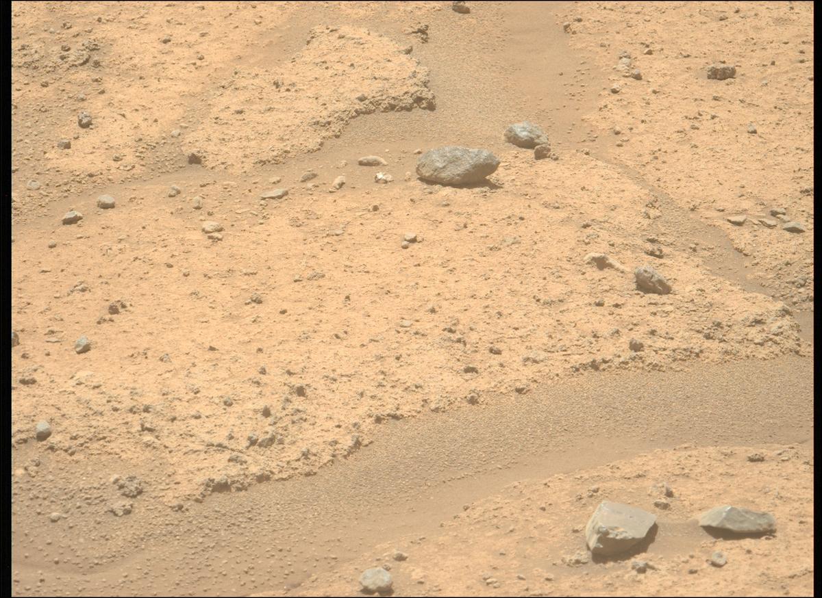 This image was taken by MCZ_LEFT onboard NASA's Mars rover Perseverance on Sol 874