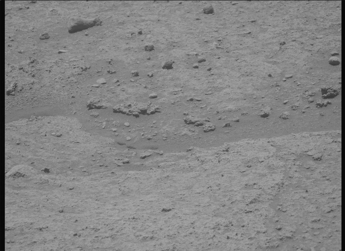 This image was taken by MCZ_LEFT onboard NASA's Mars rover Perseverance on Sol 874