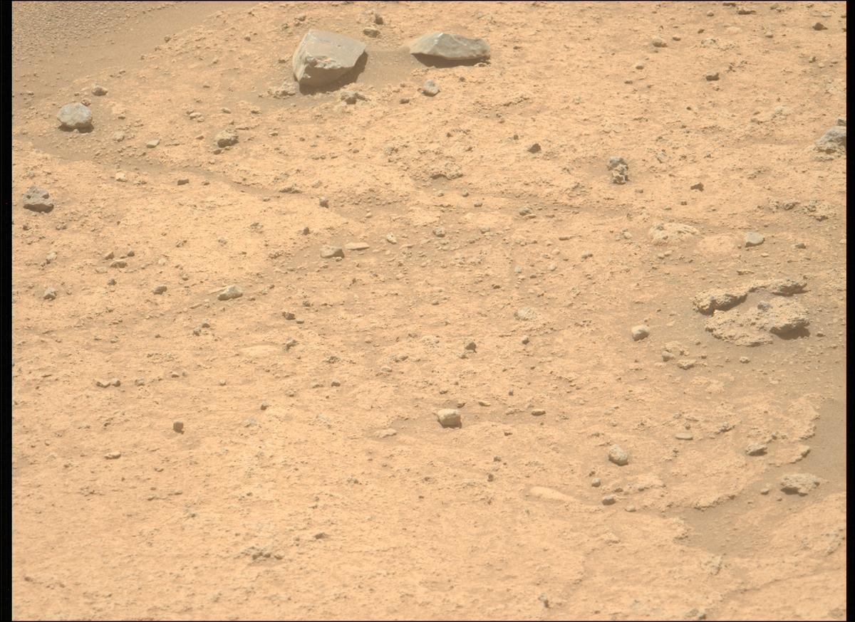This image was taken by MCZ_LEFT onboard NASA's Mars rover Perseverance on Sol 874
