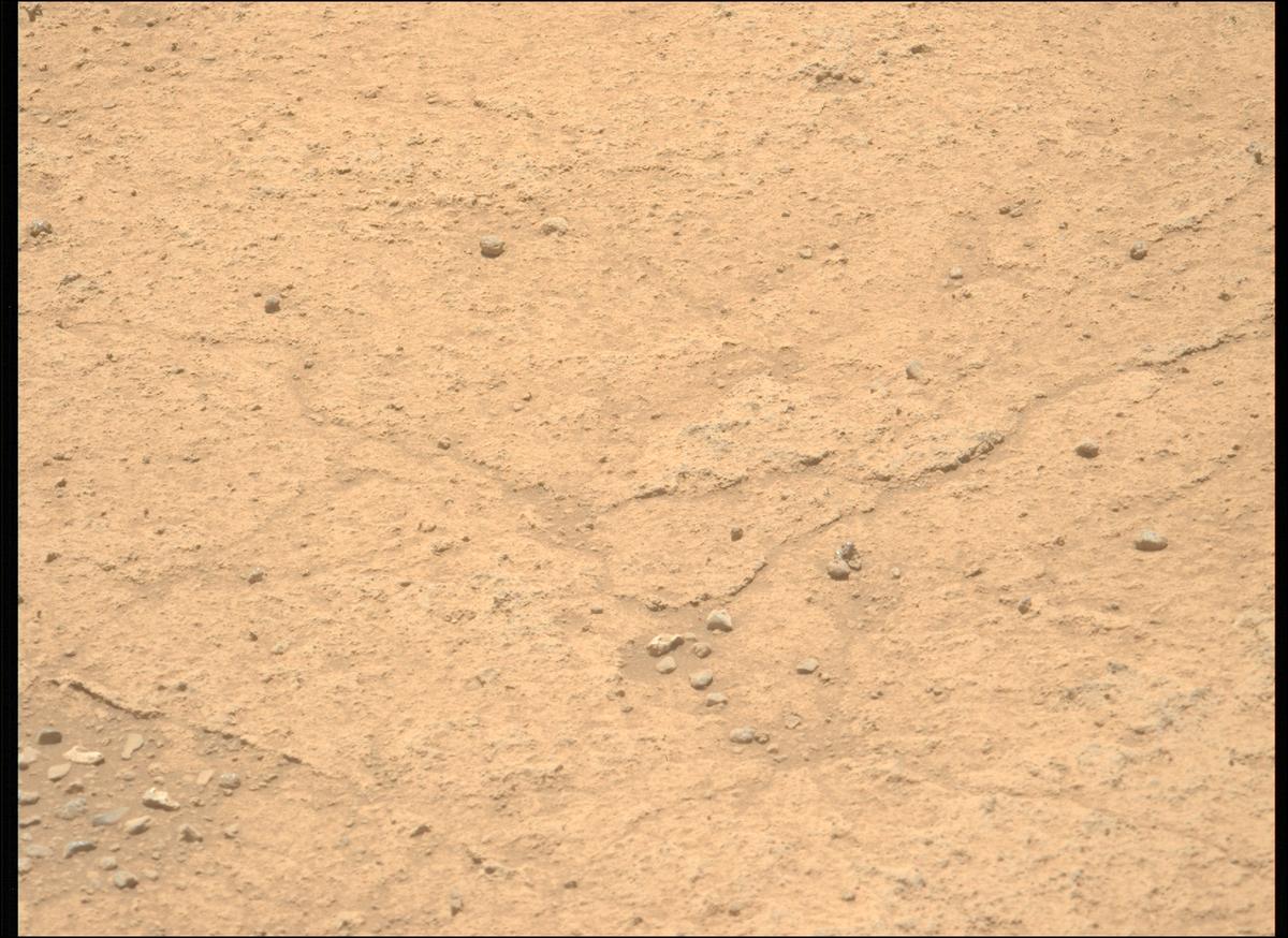 This image was taken by MCZ_LEFT onboard NASA's Mars rover Perseverance on Sol 874