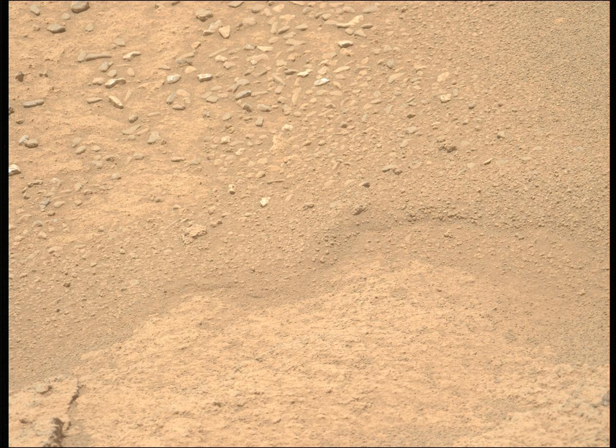 This image was taken by MCZ_LEFT onboard NASA's Mars rover Perseverance on Sol 874