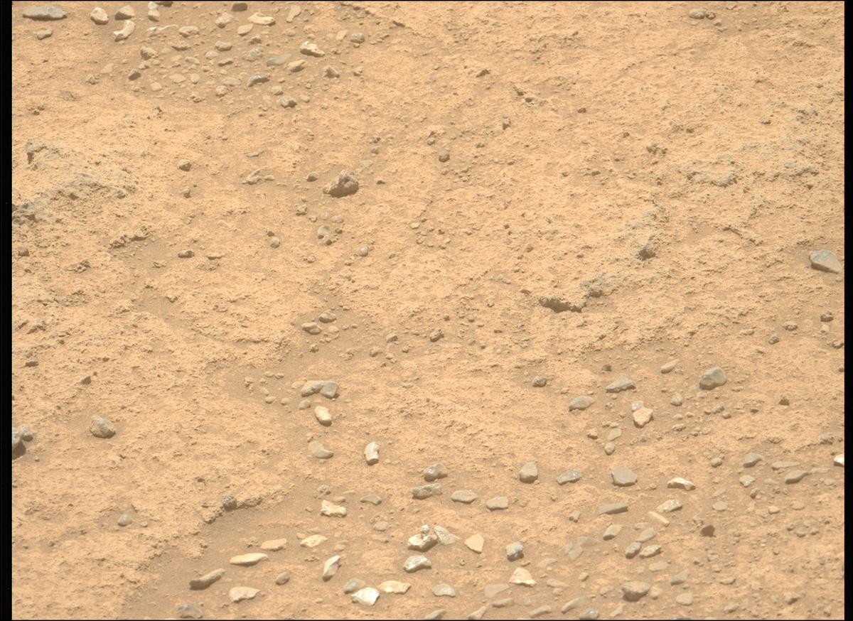 This image was taken by MCZ_LEFT onboard NASA's Mars rover Perseverance on Sol 874