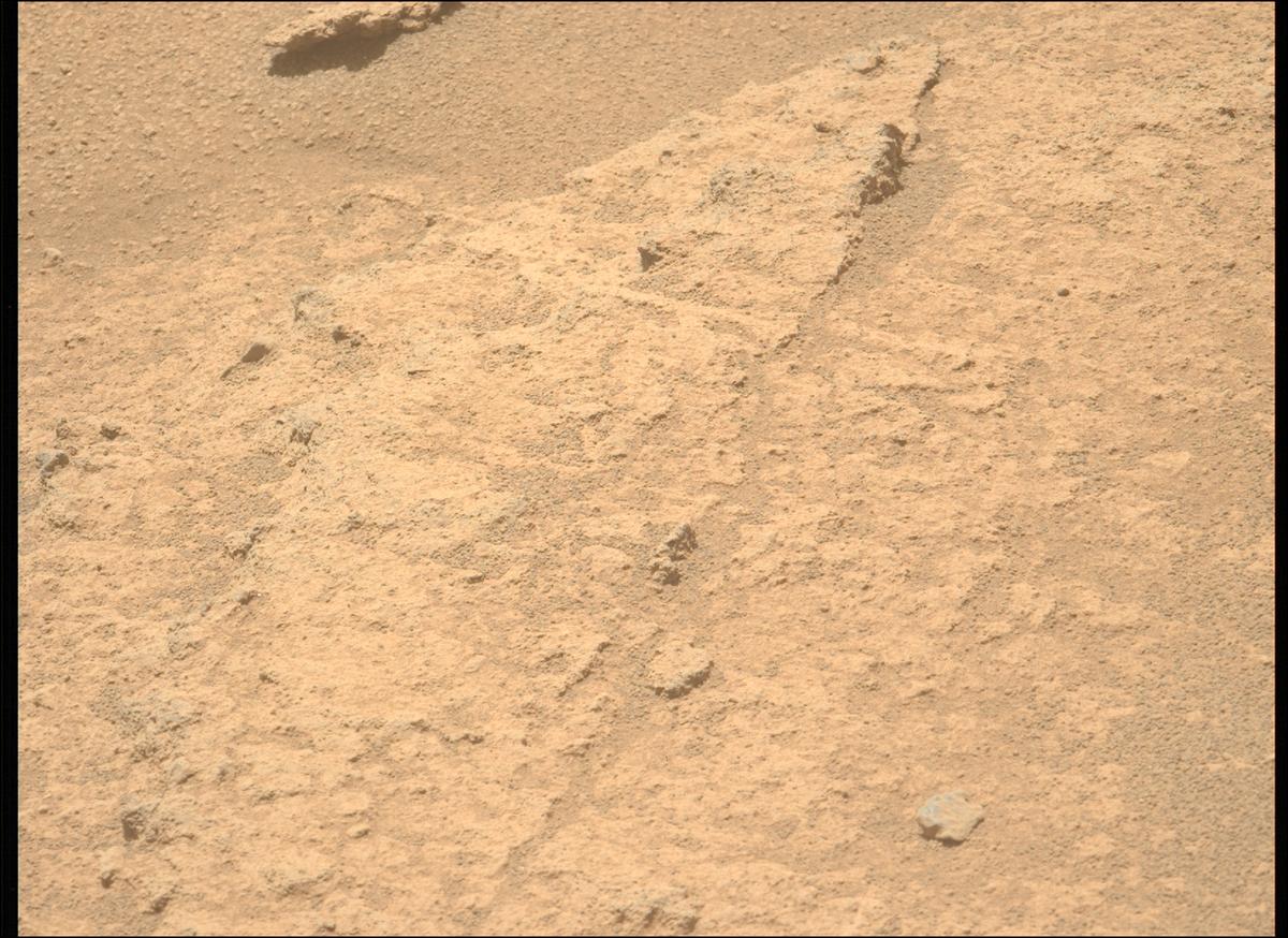 This image was taken by MCZ_LEFT onboard NASA's Mars rover Perseverance on Sol 874