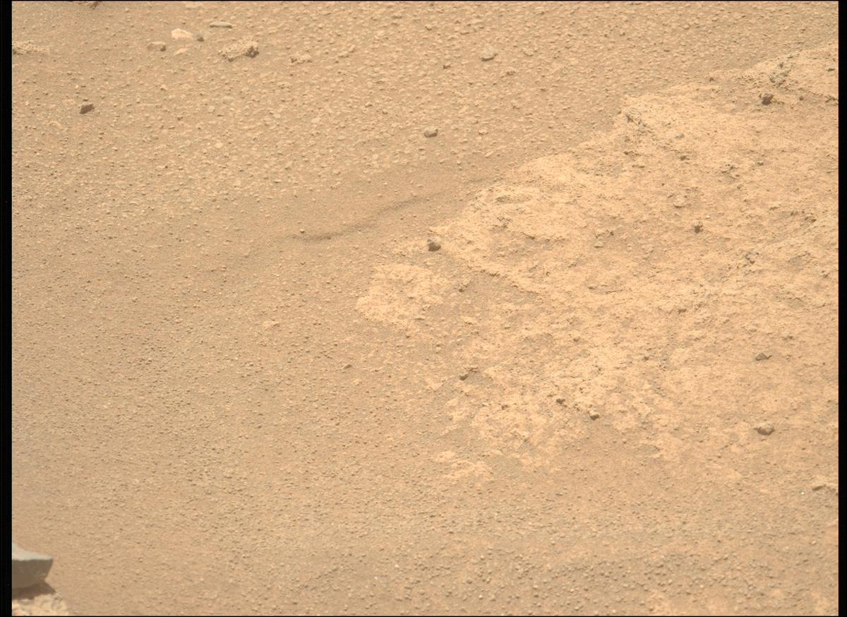 This image was taken by MCZ_LEFT onboard NASA's Mars rover Perseverance on Sol 874
