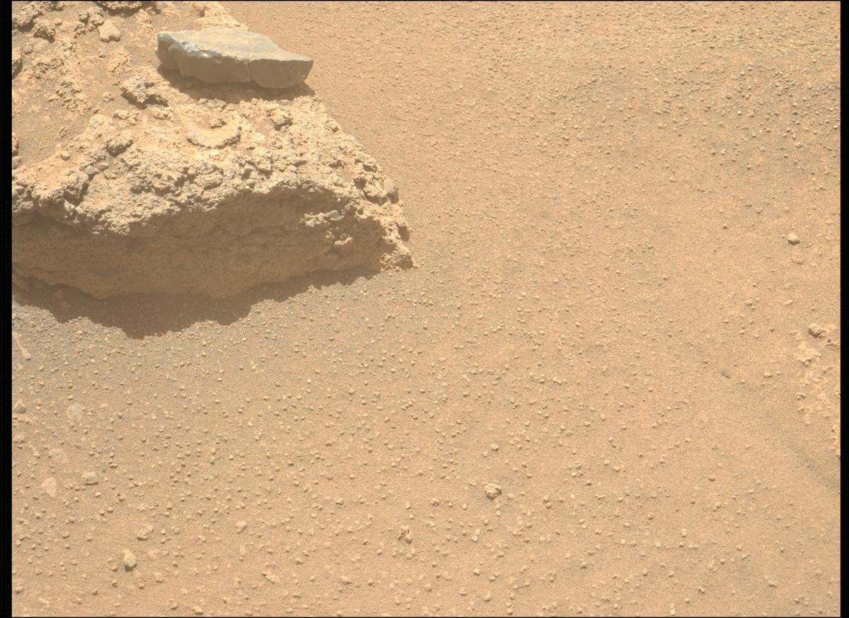 This image was taken by MCZ_LEFT onboard NASA's Mars rover Perseverance on Sol 874