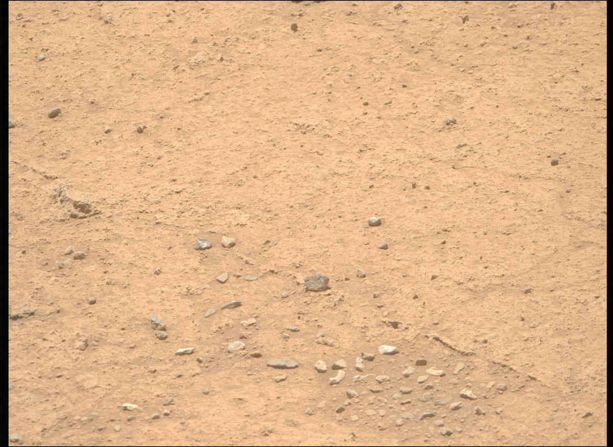 This image was taken by MCZ_RIGHT onboard NASA's Mars rover Perseverance on Sol 874