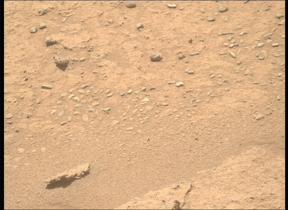 This image was taken by MCZ_RIGHT onboard NASA's Mars rover Perseverance on Sol 874