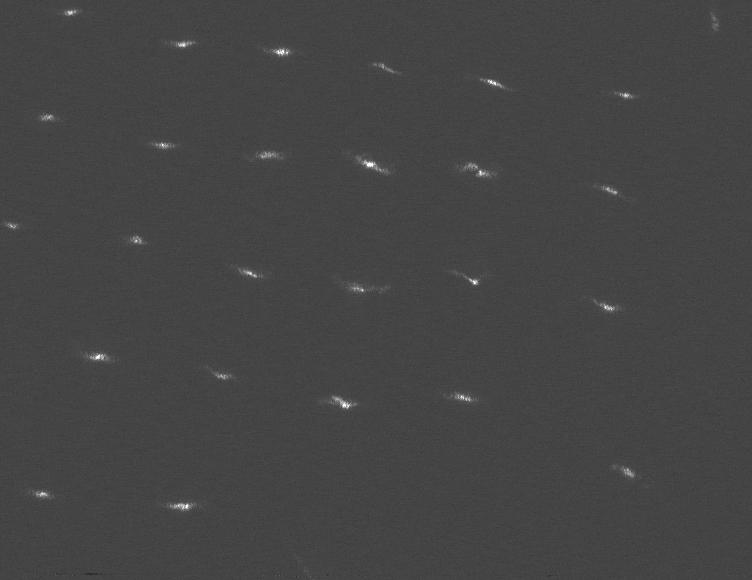 This image was taken by PIXL_MCC onboard NASA's Mars rover Perseverance on Sol 875