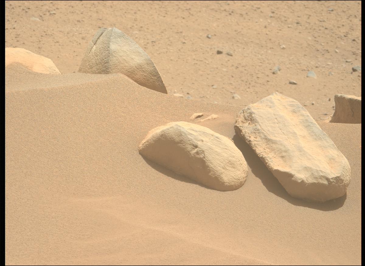 This image was taken by MCZ_LEFT onboard NASA's Mars rover Perseverance on Sol 875