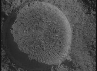 View image taken on Mars, Mars Perseverance Sol 877: WATSON Camera 