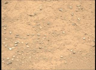 View image taken on Mars, Mars Perseverance Sol 878: Left Mastcam-Z Camera