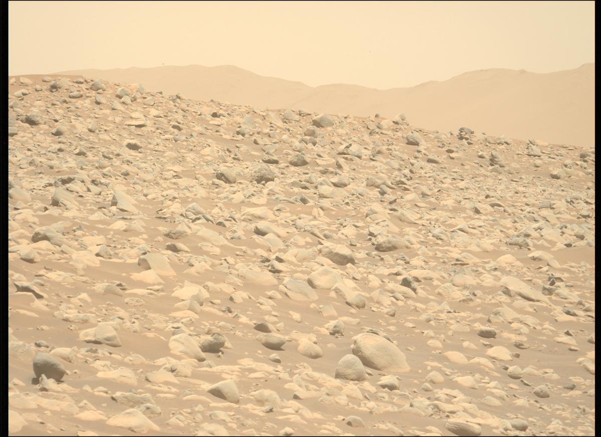 This image was taken by MCZ_LEFT onboard NASA's Mars rover Perseverance on Sol 878