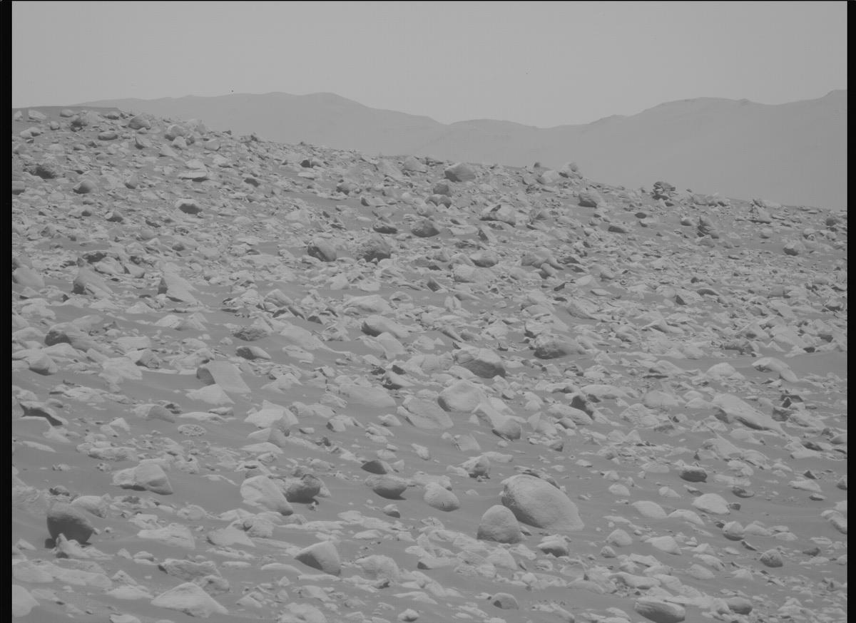 This image was taken by MCZ_LEFT onboard NASA's Mars rover Perseverance on Sol 878
