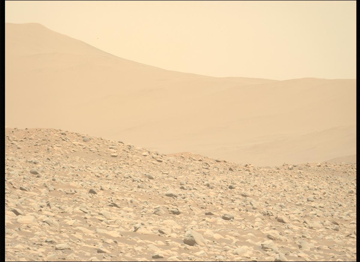 This image was taken by MCZ_LEFT onboard NASA's Mars rover Perseverance on Sol 878