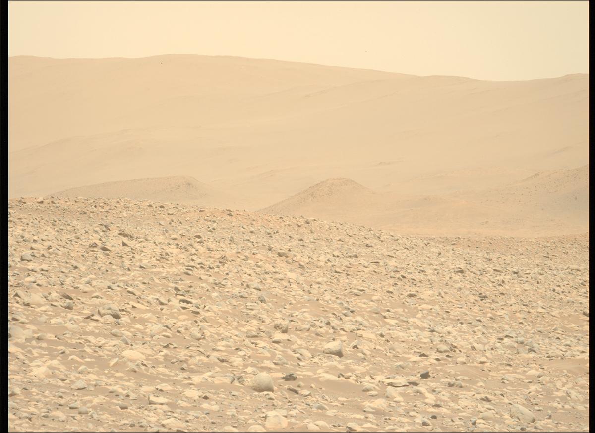 This image was taken by MCZ_LEFT onboard NASA's Mars rover Perseverance on Sol 878