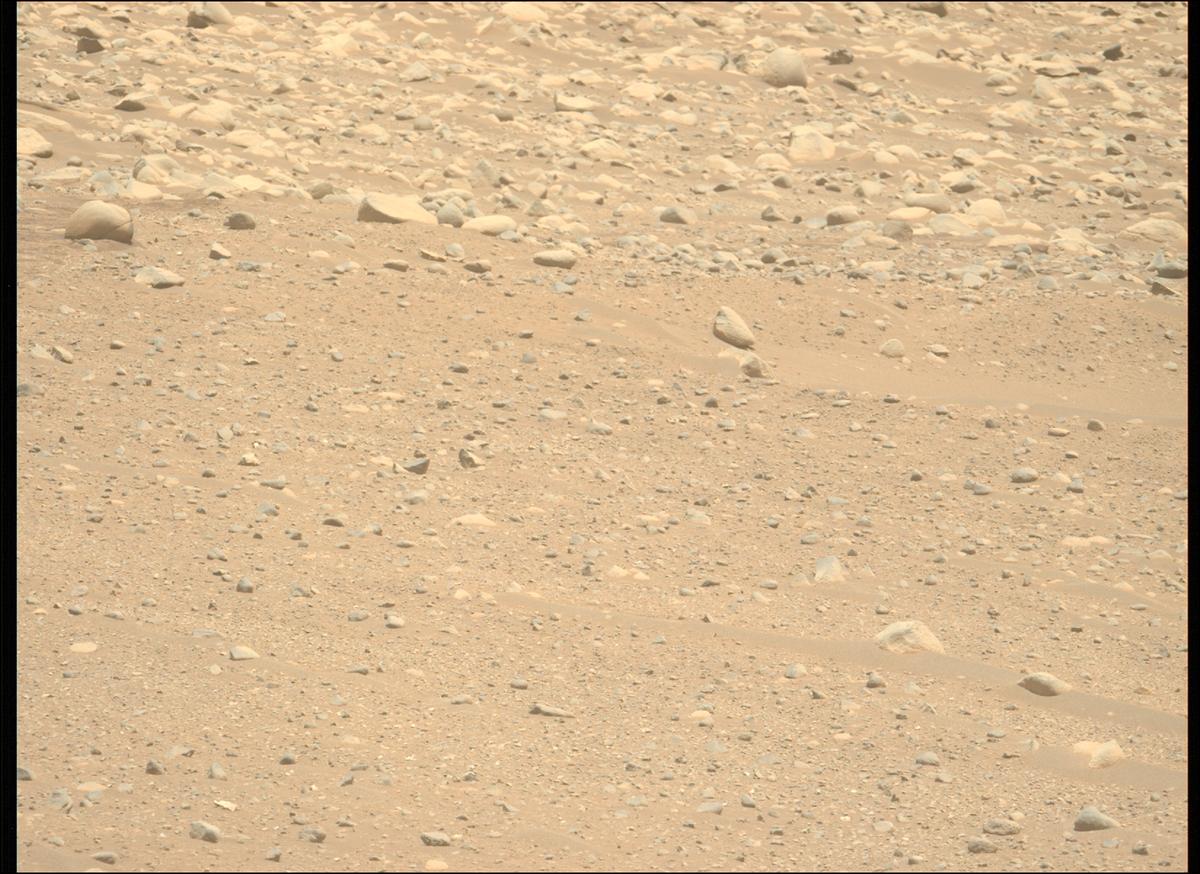 This image was taken by MCZ_LEFT onboard NASA's Mars rover Perseverance on Sol 878