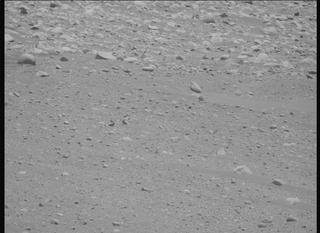 View image taken on Mars, Mars Perseverance Sol 878: Left Mastcam-Z Camera
