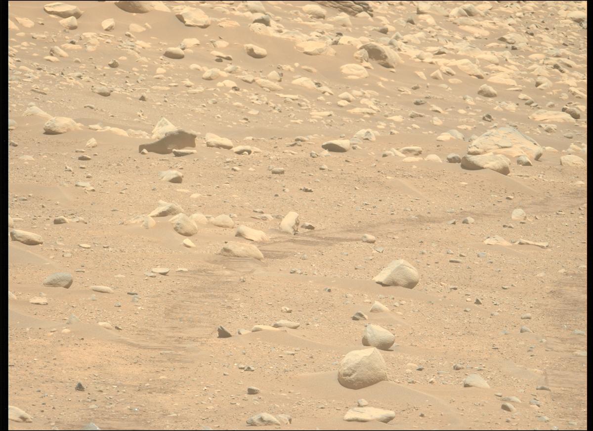 This image was taken by MCZ_LEFT onboard NASA's Mars rover Perseverance on Sol 878