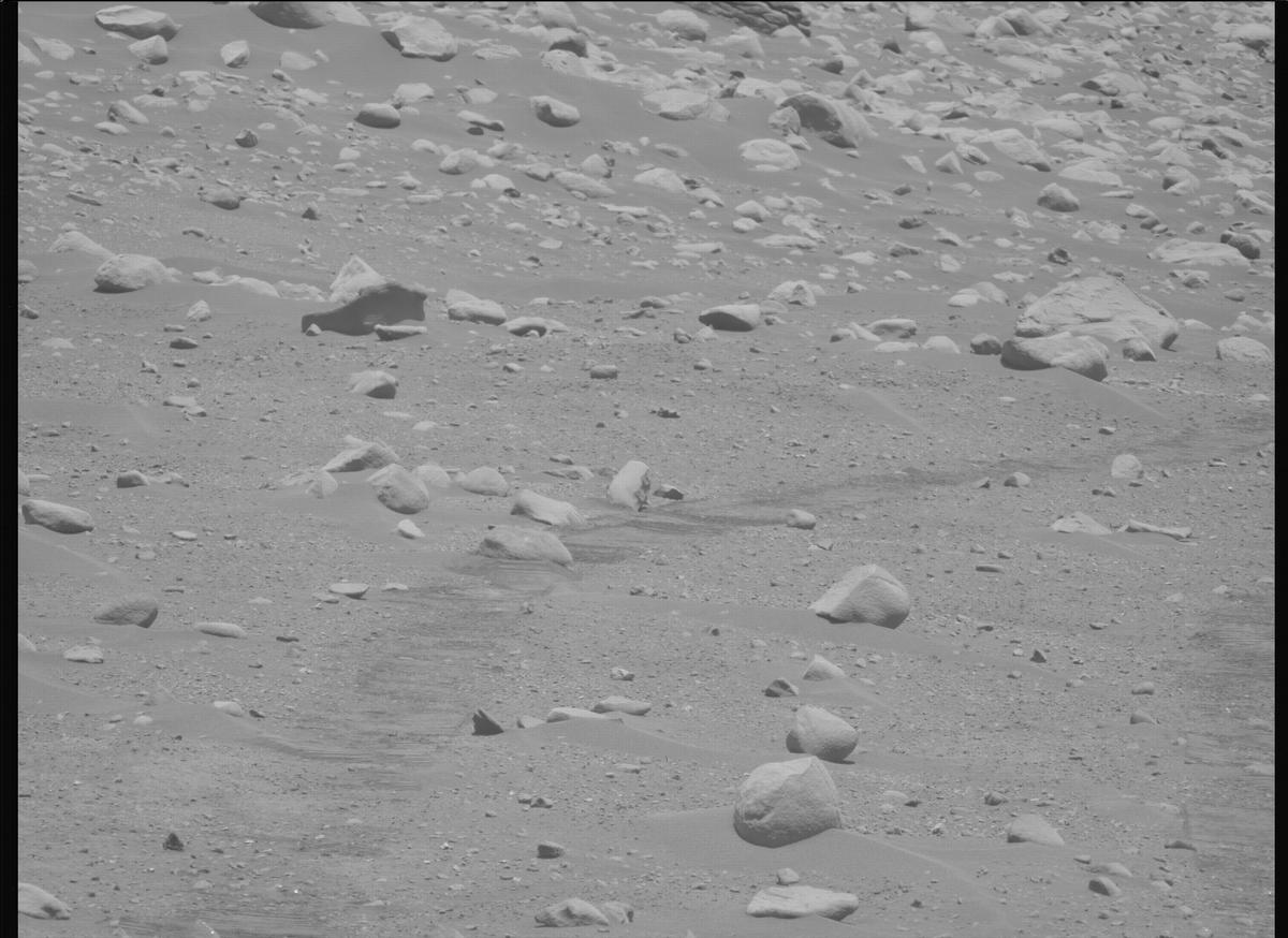 This image was taken by MCZ_LEFT onboard NASA's Mars rover Perseverance on Sol 878