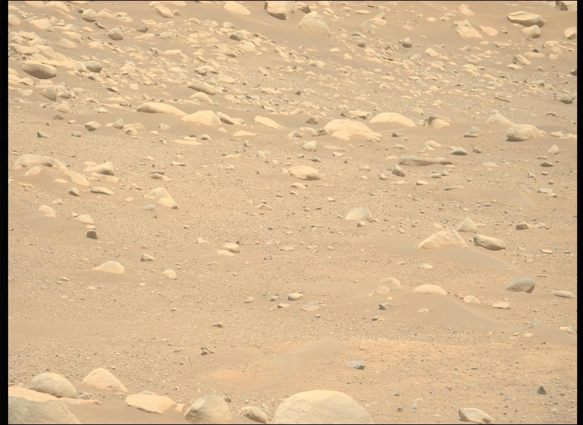 This image was taken by MCZ_LEFT onboard NASA's Mars rover Perseverance on Sol 878