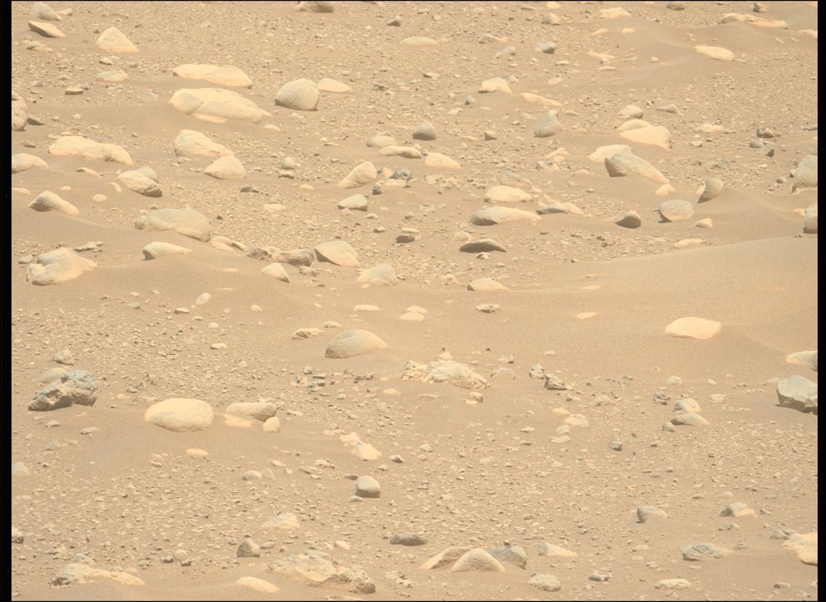 This image was taken by MCZ_LEFT onboard NASA's Mars rover Perseverance on Sol 878